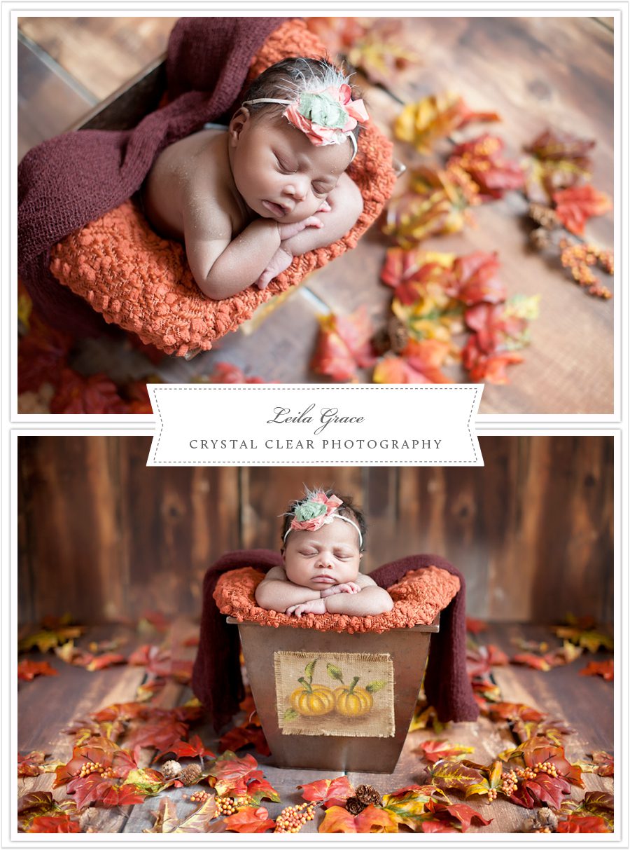 Crystal Clear Photography | Atlanta Newborn Photographer | Atlanta Newborn Photography | Mableton